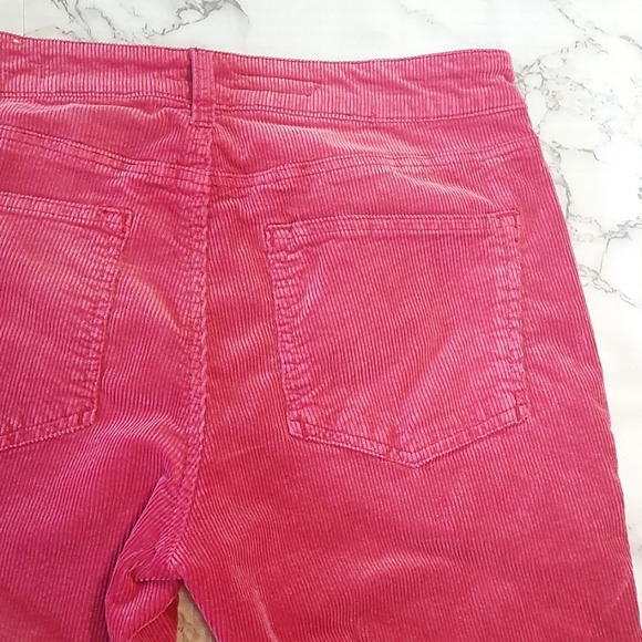Pilcro Raspberry Corduroy Pants, Size 27 - Picture 7 of 10
